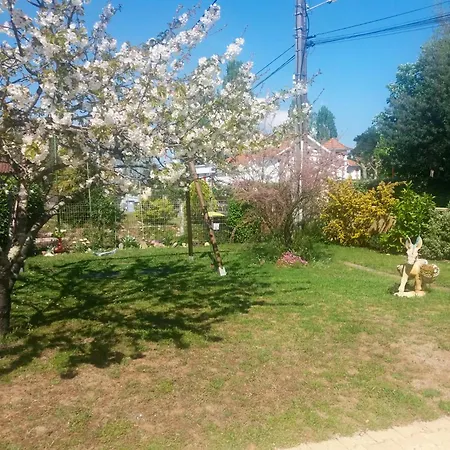 Avec Piscine Et Jardin, וילה גוז'אן-מסטרה