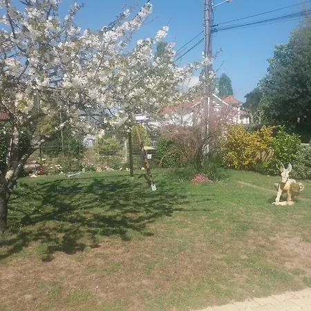 Vila Avec Piscine Et Jardin, Gujan-Mestras